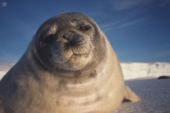 1722376082-02_03_01_01_im1